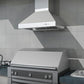 ZLINE 42 In. Outdoor Ducted Wall Mount Range Hood in Outdoor Approved Stainless Steel, 667-304-42