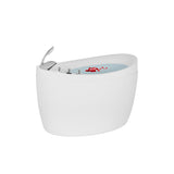 Empava 48 in. Freestanding Air Bathtub - EMPV-48JT011