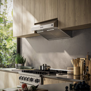 FORNO Espresso Bari 30" 400 CFM Under Cabinet Range Hood in Stainless Steel, FRHUC5255-30