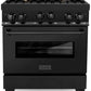 ZLINE 30 in. Kitchen Appliance Package with Black Stainless Steel Gas Range, Range Hood, Microwave Drawer and Dishwasher, 4KP-SGRBRH30-MWDW