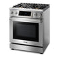 THOR Kitchen 30 In. 4.6 cu. ft. Self-Clean Propane Gas Range in Stainless Steel, TRG3001LP