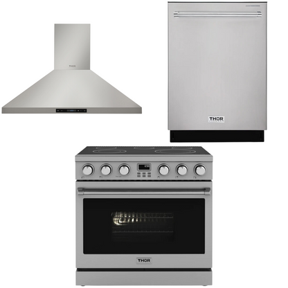 THOR Contemporary Package - 36" Electric Range, Range Hood and Dishwasher, AP-ARE36-C11