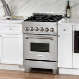 ZLINE 24" 2.8 cu. ft. Dual Fuel Range with Gas Stove and Electric Oven in DuraSnow Stainless Steel