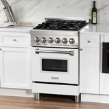 ZLINE 24" 2.8 cu. ft. Dual Fuel Range with Gas Stove and Electric Oven in Stainless Steel