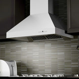 ZLINE 30" Convertible Vent Wall Mount Range Hood in Outdoor Approved Stainless Steel