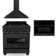 ZLINE 30" Kitchen Package with Black Stainless Steel Dual Fuel Range, Convertible Vent Range Hood and 24" Microwave Oven