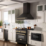 ZLINE 36" Black Stainless Steel Range Hood with Handle