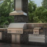 ZLINE 36" Ducted Wall Mount Range Hood in Outdoor Approved Stainless Steel