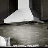 ZLINE 42" Professional Ducted Wall Mount Range Hood in Stainless Steel