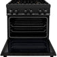 ZLINE Appliance Package - 30 In. Dual Fuel Range, Range Hood, Dishwasher in Black Stainless Steel, 3KP-RABRH30-DWV