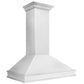 ZLINE 48" Designer Series Wall Mount Range Hood in Satin Stainless Steel, 8656S-48