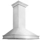 ZLINE 48" Designer Series Wall Mount Range Hood in Satin Stainless Steel, 8656S-48