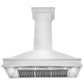 ZLINE 48" Designer Series Wall Mount Range Hood in Satin Stainless Steel, 8656S-48