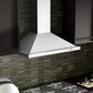 ZLINE 48 in. Convertible Vent Wall Mount Range Hood in Stainless Steel with Crown Molding, KBCRN-48