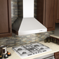 ZLINE 60 in. Professional Ducted Wall Mount Range Hood in Stainless Steel, 697-60