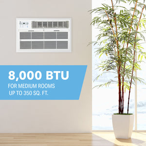 8,000 BTU 115V High-Efficiency Through-the-Wall Air Conditioner with Remote Control