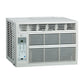 5,000 BTU 115V High-Efficiency Window Air Conditioner with Remote Control