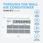 10,000 BTU 115V High-Efficiency Through-the-Wall Air Conditioner with Remote Control