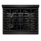 ZLINE Autograph Package - 30 In. Gas Range, Range Hood, Refrigerator with Water and Ice Dispenser, and Dishwasher in Black Stainless Steel with Gold Accents, 4AKPR-RGBRHDWV30-G