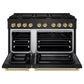 ZLINE Autograph Package - 48 In. Gas Range, Range Hood and Dishwasher in Black Stainless Steel with Champagne Bronze Accents, 3AKPR-RGBRHDWV48-CB