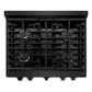 ZLINE Appliance Package - 30 In. Gas Range, Range Hood, Microwave and Dishwasher in Black Stainless Steel, 4KP-RGBRH30-MWDW