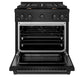 ZLINE Paramount 30" 4.2 cu. ft. Gas Range with Convection Oven and 4 Brass Burners in Black Stainless Steel, SGRB-BR-30