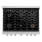 ZLINE 36" 5.2 cu. ft. Paramount Dual Fuel Range with 6 Burners in Stainless Steel, SDR36
