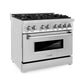 ZLINE 36 in. Professional Gas Burner/Electric Oven Stainless Steel Range with Brass Burners, RA-BR-36