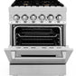 ZLINE 24 in. Professional Gas Burner/Electric Oven Stainless Steel Range with Brass Burners, RA-BR-24