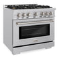 ZLINE 36" 5.2 cu. ft. Select Gas Range with Convection Gas Oven in Stainless Steel with 6 Brass Burners, HGR-BR-36