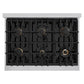 ZLINE 36" 5.2 cu. ft. Select Gas Range with Convection Gas Oven in Stainless Steel with 6 Brass Burners, HGR-BR-36