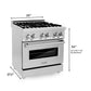 ZLINE Kitchen and Bath 30 in. Professional Gas Burner, Electric Oven Stainless Steel Range, RA30