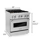 ZLINE 30 in. Professional Gas Burner/Electric Oven Stainless Steel Range with Brass Burners, RA-BR-30