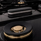 ZLINE 48" Rangetop in Stainless Steel with 7 Gas Brass Burners and Griddle, RT-BR-GR-48