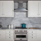ZLINE 30" Designer Series Satin Stainless Steel Convertible Vent Wall Mount Range Hood, 8KBS-30