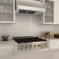 ZLINE 30 in. Under Cabinet Stainless Range Hood Heat Lamp 523-30