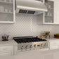 ZLINE 36 in. Under Cabinet Stainless Steel Range Hood 527-36