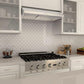 ZLINE 42 in. Under Cabinet Stainless Steel Range Hood 623-42