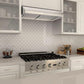 ZLINE 36 in. Under Cabinet Stainless Steel Range Hood 625-36