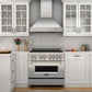 ZLINE 48" Ducted Vent Designer Series Wall Mount Range Hood in Satin Stainless Steel, 655-4SSSS-48