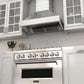 ZLINE 48" Ducted Vent Designer Series Wall Mount Range Hood in Satin Stainless Steel, 655-4SSSS-48