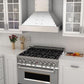 ZLINE 48" Ducted Vent Designer Series Wall Mount Range Hood in Satin Stainless Steel, 655-4SSSS-48