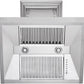 ZLINE 48" Ducted Vent Designer Series Wall Mount Range Hood in Satin Stainless Steel, 655-4SSSS-48
