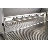 American Outdoor Grill 24'' T Series Portable Gas Grills 24PCT